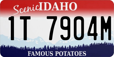 ID license plate 1T7904M