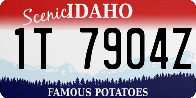 ID license plate 1T7904Z