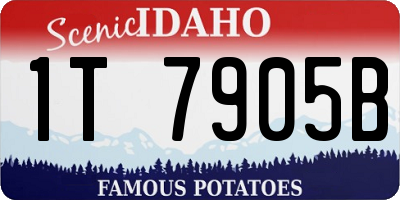 ID license plate 1T7905B