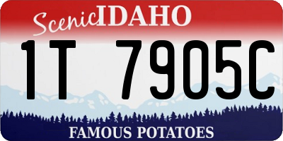 ID license plate 1T7905C