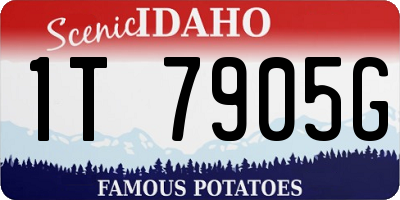 ID license plate 1T7905G