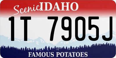 ID license plate 1T7905J