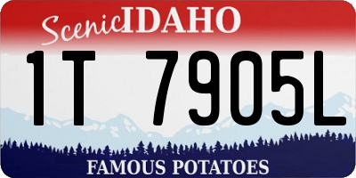 ID license plate 1T7905L