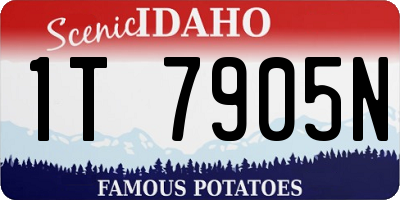ID license plate 1T7905N