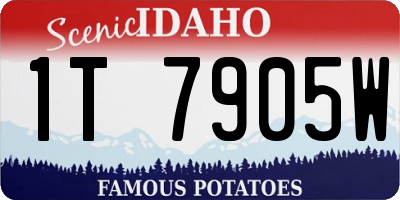 ID license plate 1T7905W