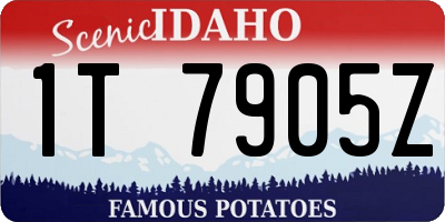 ID license plate 1T7905Z