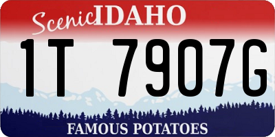 ID license plate 1T7907G