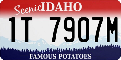 ID license plate 1T7907M