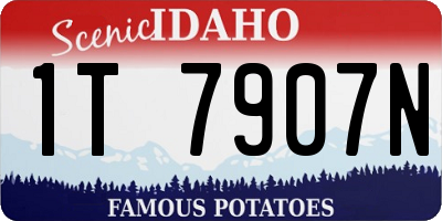 ID license plate 1T7907N