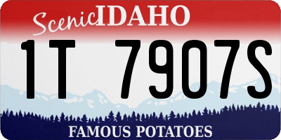 ID license plate 1T7907S