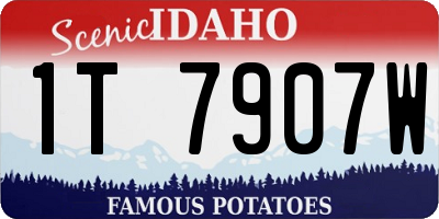 ID license plate 1T7907W