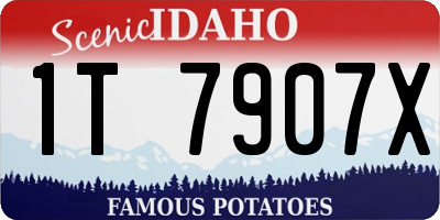 ID license plate 1T7907X