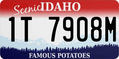 ID license plate 1T7908M