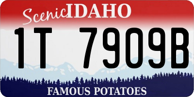 ID license plate 1T7909B
