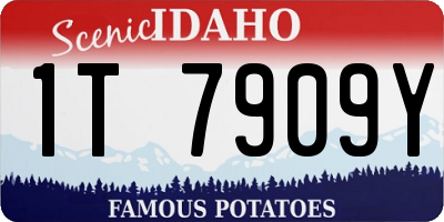 ID license plate 1T7909Y