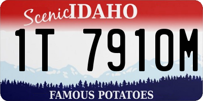 ID license plate 1T7910M