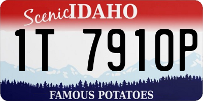 ID license plate 1T7910P