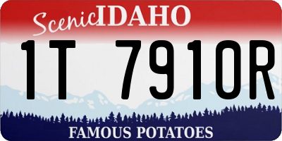 ID license plate 1T7910R