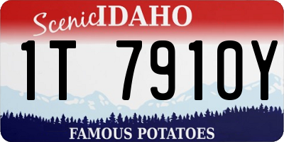 ID license plate 1T7910Y