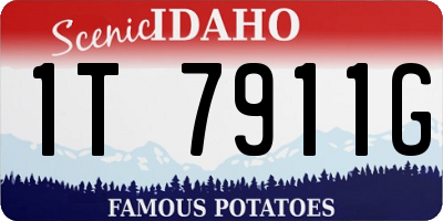 ID license plate 1T7911G