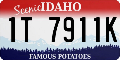 ID license plate 1T7911K
