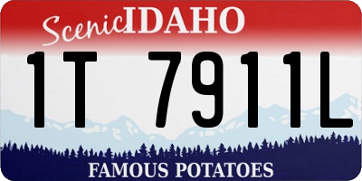 ID license plate 1T7911L