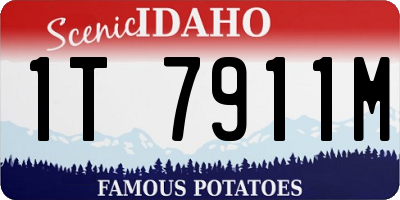 ID license plate 1T7911M