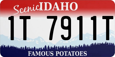 ID license plate 1T7911T