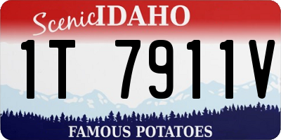ID license plate 1T7911V