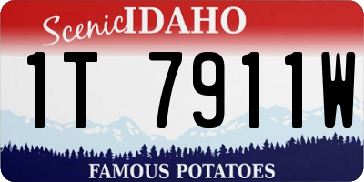 ID license plate 1T7911W