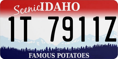 ID license plate 1T7911Z