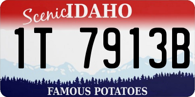ID license plate 1T7913B