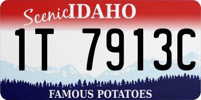ID license plate 1T7913C