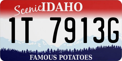 ID license plate 1T7913G