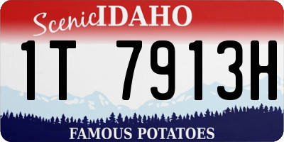 ID license plate 1T7913H