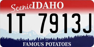 ID license plate 1T7913J