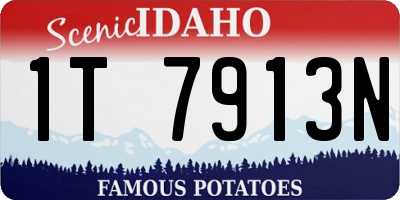 ID license plate 1T7913N