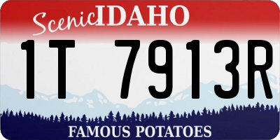 ID license plate 1T7913R