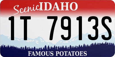 ID license plate 1T7913S