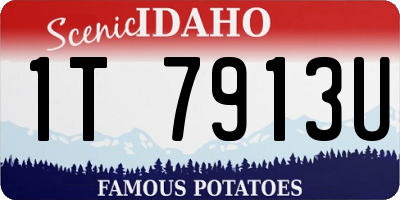 ID license plate 1T7913U