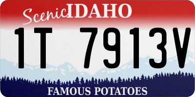 ID license plate 1T7913V