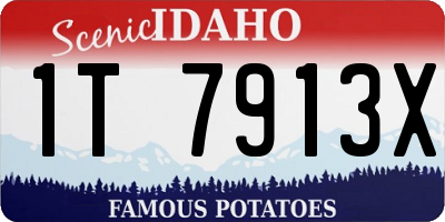 ID license plate 1T7913X