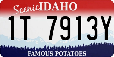 ID license plate 1T7913Y