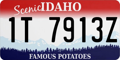 ID license plate 1T7913Z