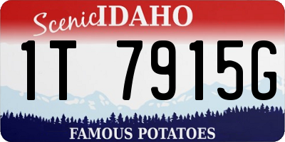 ID license plate 1T7915G