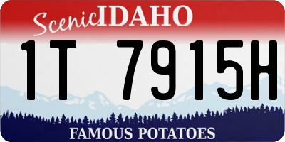 ID license plate 1T7915H