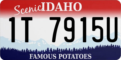 ID license plate 1T7915U
