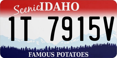 ID license plate 1T7915V