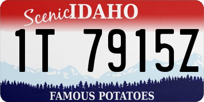 ID license plate 1T7915Z