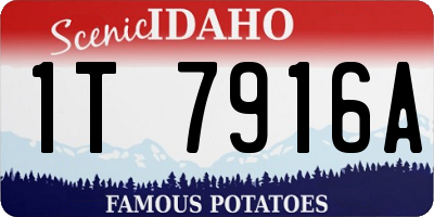 ID license plate 1T7916A